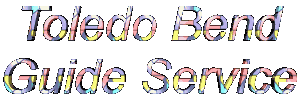 Toledo Bend Giude Service on Toledo Bend Lake